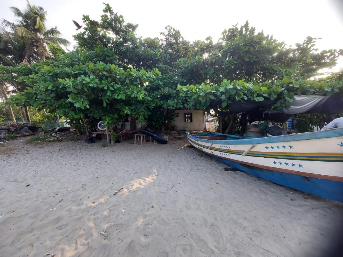 Beachcampers Only For Foreign Traveler'S Alappuzha Exterior photo